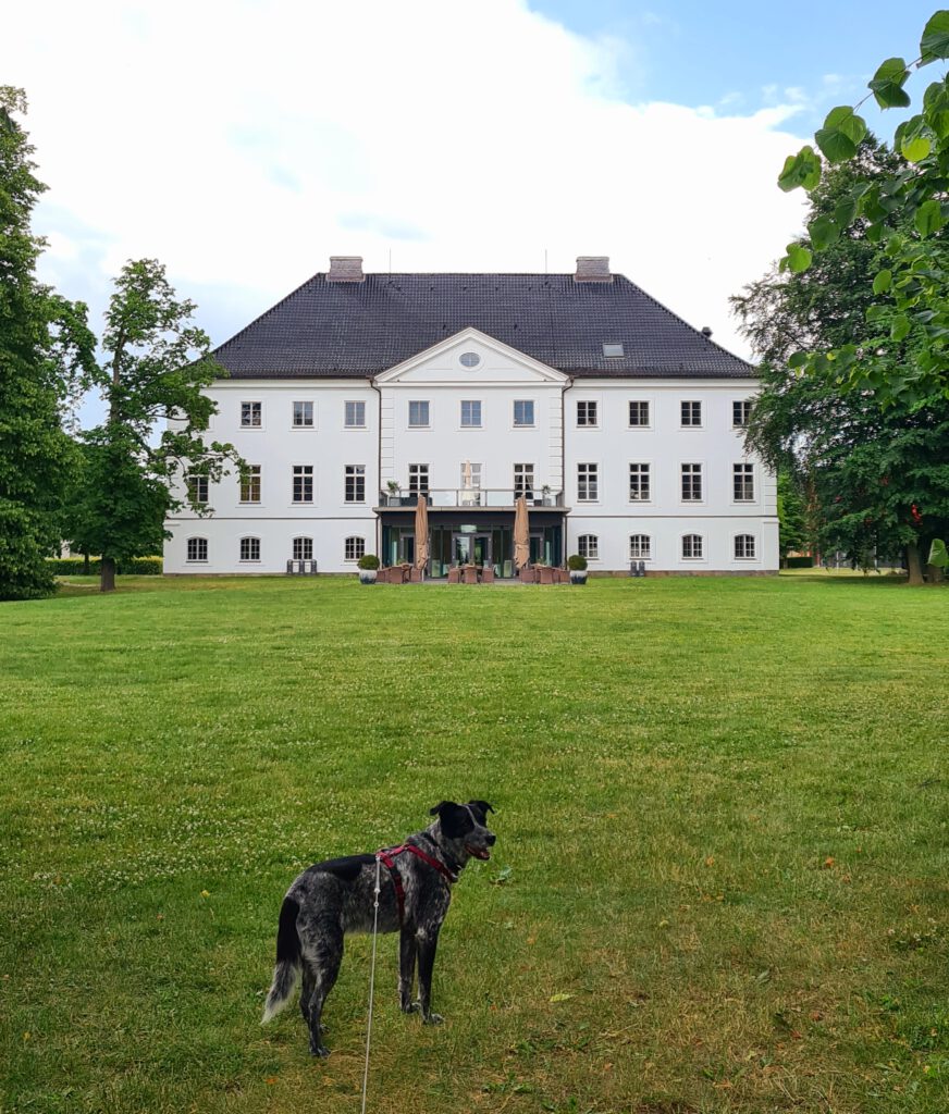 Schloss Groß Schwansee